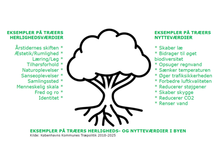 bytræer amager vest lokaludvalg biodiversitet bydelsplan