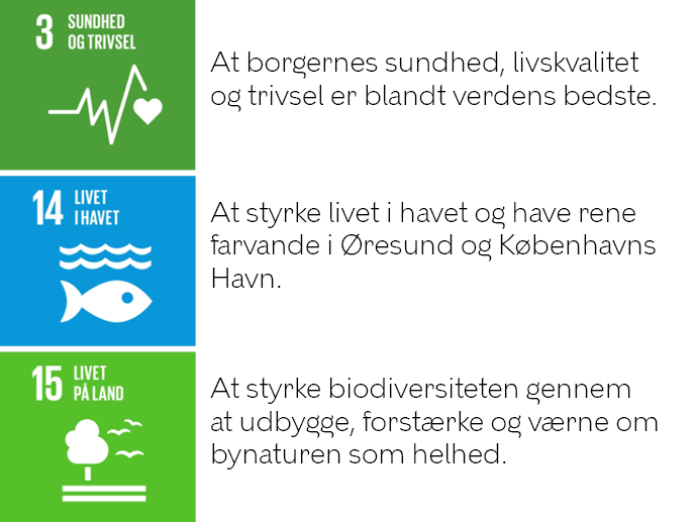 FN's Verdensmål for bæredygtig udvikling